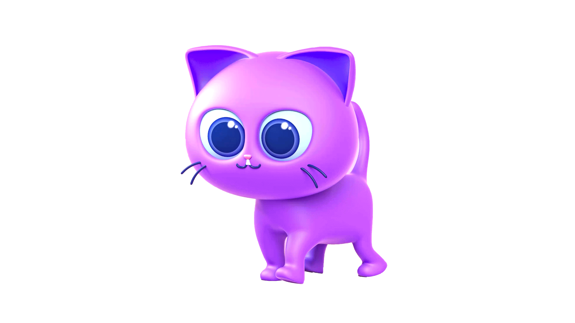 belp cat walking